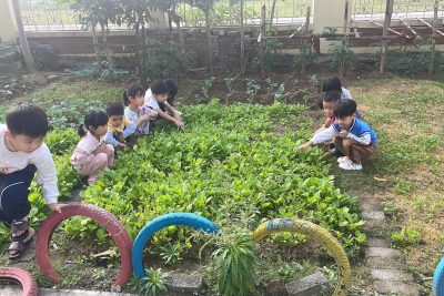 Kế hoạch chủ đề Thực vật lớp A4